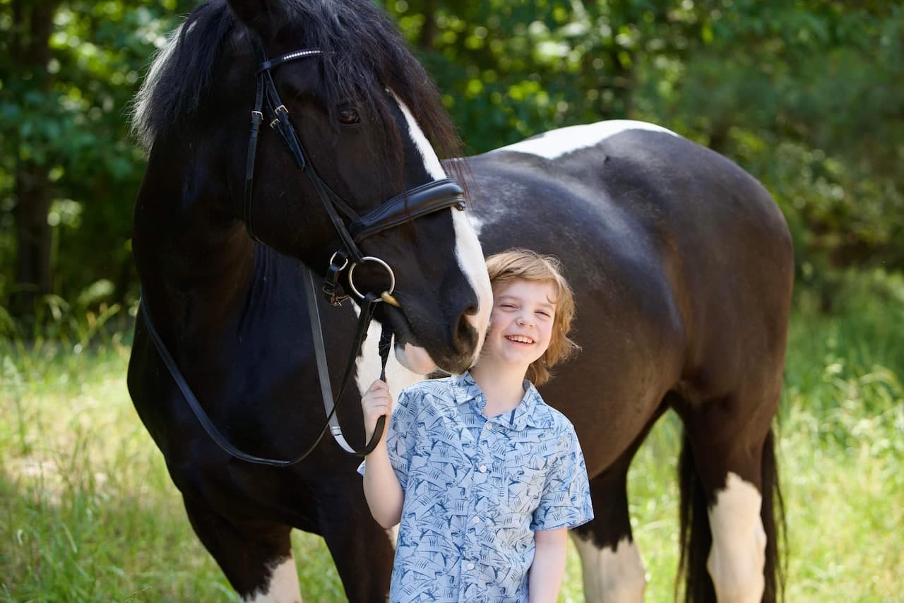 Willow, a black and white horse, being gently petted by a child