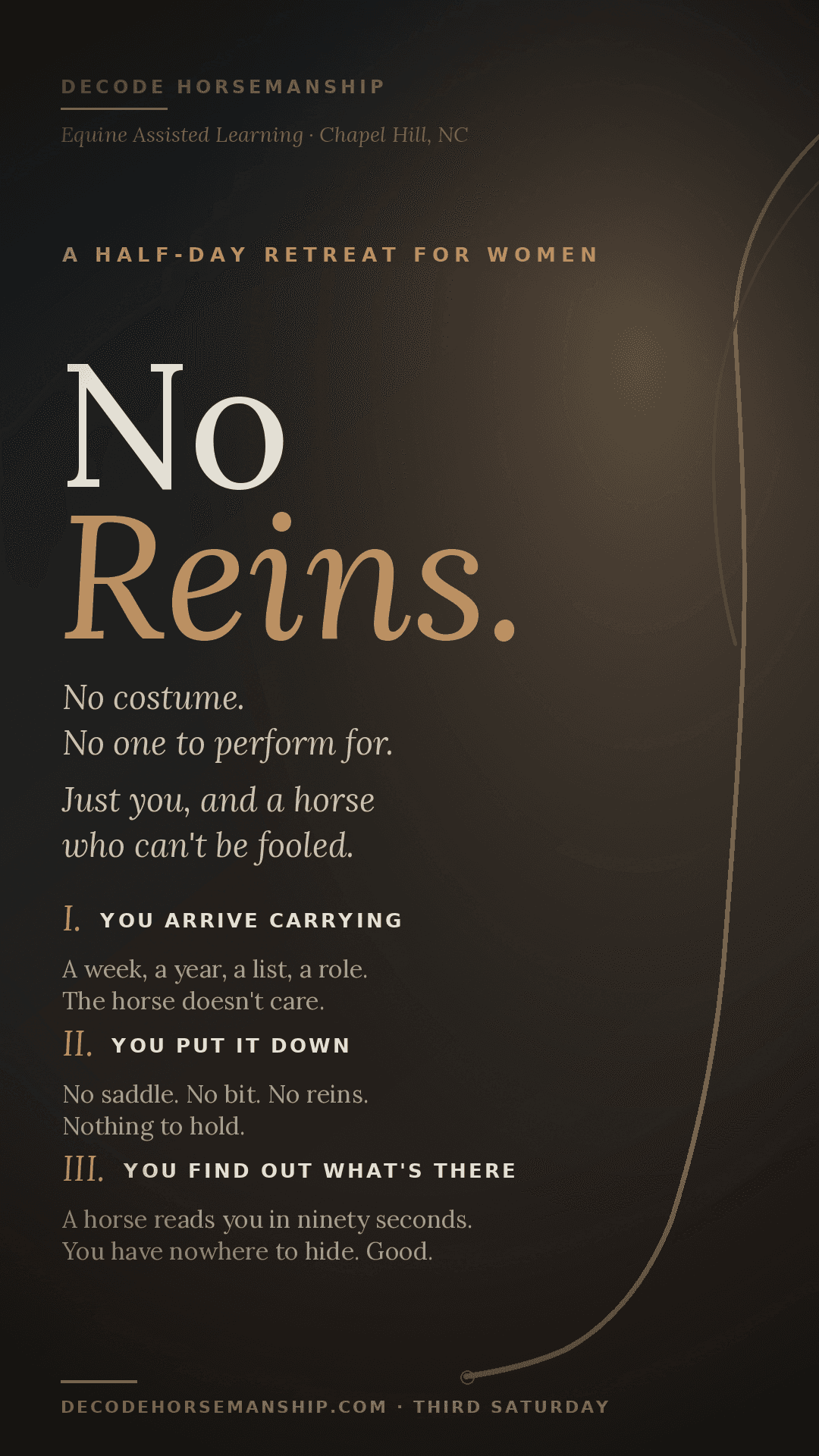 No Reins — A half-day retreat for women at Decode Horsemanship